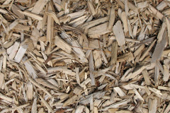 biomass boilers Painsthorpe